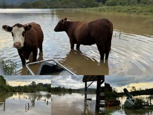 North Carolina Farmer, Teacher Talks About Staying Connected and Sharing in Wake of Devastating Floods