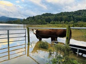 Flooded Hay, Toxic Water and Power Outages Still Plague Western North Carolina Farmers