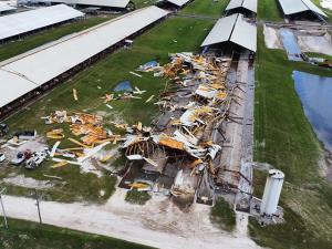 Florida Dairy Continues Operation After Damage From Hurricane Helene
