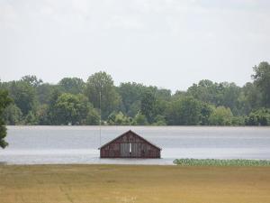 Lawmakers Call for Ag Disaster Aid as USDA Details Response to Hurricane Helene
