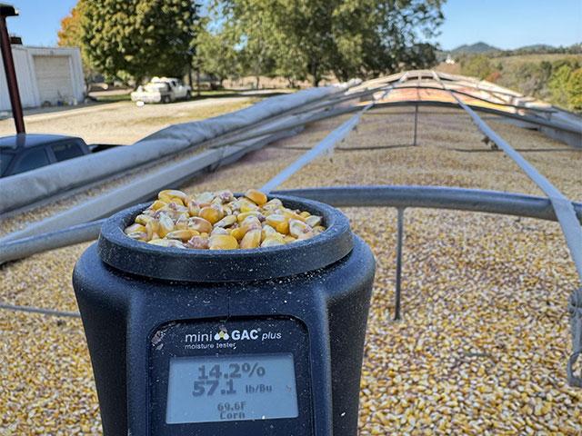 Combines continued to roll on Affinity Farms this week and moisture levels were helping take some pressure off the granary dryer. (DTN photo courtesy of Quint Pottinger)