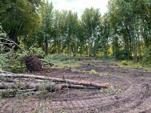 Farm, Environmental Groups Seek to Defend Challenges to 1985 Swampbuster Rule