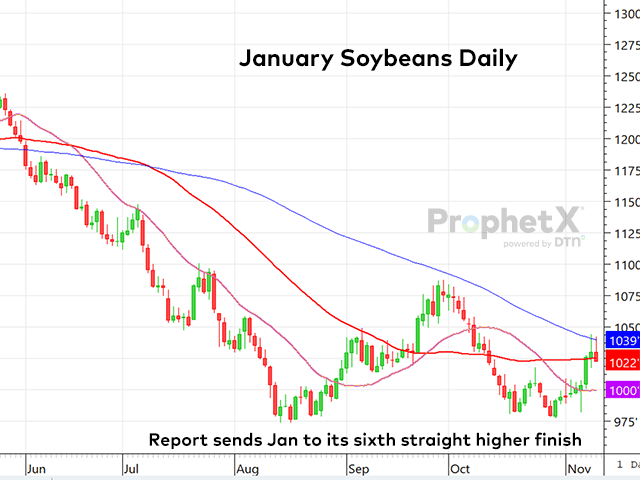 This chart of January soybeans shows the fifth consecutive higher finish on Friday following the modestly bullish November WASDE report. January beans began the new week in the green again. (DTN ProphetX chart)