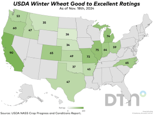 USDA Crop Progress: Winter Wheat Rating Jumps 5 Points to 49% Good to Excellent as of Nov. 17