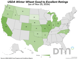 Final 2024 USDA Crop Progress Report: Winter Wheat Rating Jumps 6 Points to 55% Good to Excellent as of Nov. 24