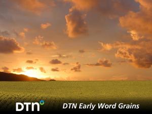 Grain Markets Mixed With Soybeans Testing Contract Lows Overnight