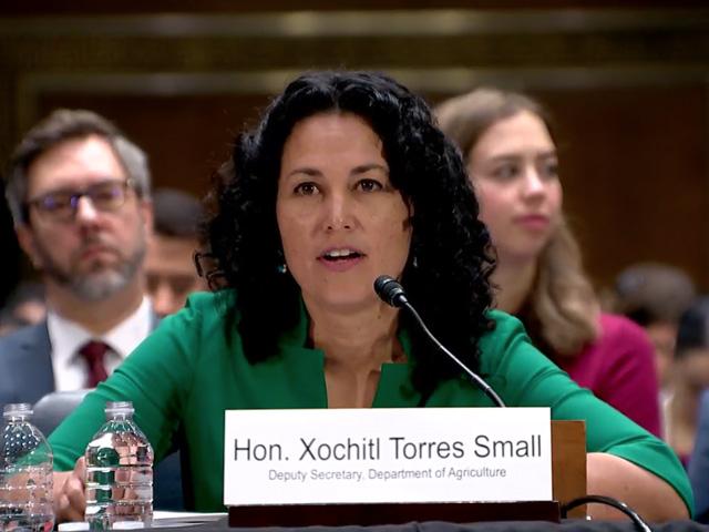 USDA Deputy Secretary Xochitl Torres Small testifying Wednesday in the U.S. Senate on disaster issues and aid. Several GOP senators quizzed Torres Small about farm income and highlighted financial disasters facing producers because of market conditions even if they haven't been hit by a natural disaster. (Photo from hearing livestream)