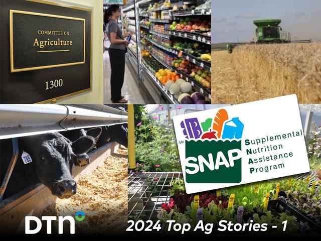 For the second year in a row, DTN has selected the lack of a new farm bill to be the top ag story of the year. (DTN file image by Nick Scalise)