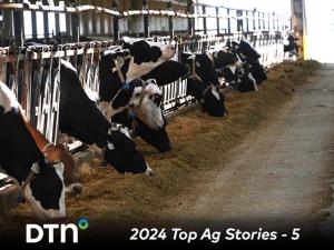 H5N1 Detected in Dairy Cattle for the First Time