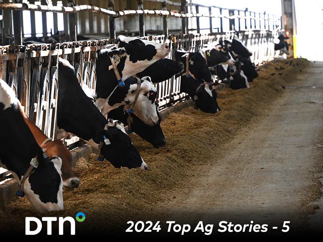 Dairy cows testing positive for H5N1 usually have a decrease in milk production and flu-like symptoms, which most recover from over time. (DTN file photo)