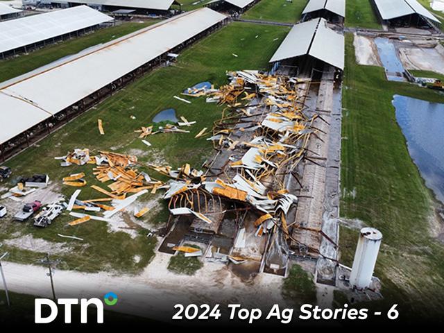 Hurricane Helene's winds destroyed part of a free stall barn and commodity barn on Full Circle Dairy in Lee, Florida. (Photo courtesy of Full Circle Dairy)