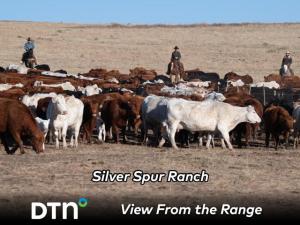 Good Neighbors Is a Two-Way Street for Colorado Ranch Dealing With Urban Sprawl