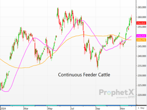 Monday’s Feeder Cattle Market Rally Derailed by Technical Pressure