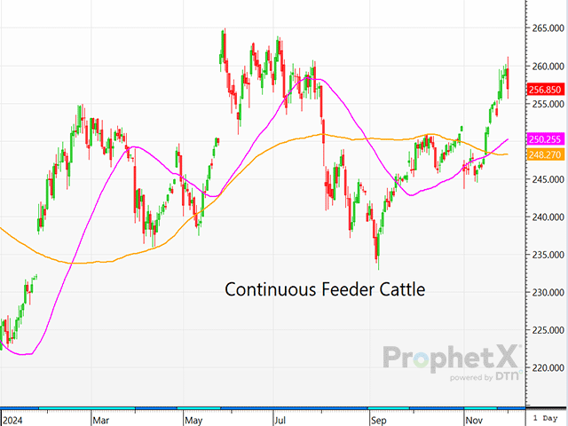 After a good start, by Monday's close the feeder cattle market had dropped anywhere from $2 to $3 lower. (DTN ProphetX chart)