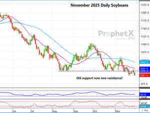 New-Crop Soybeans Break Down Below Support Area; What’s Next?