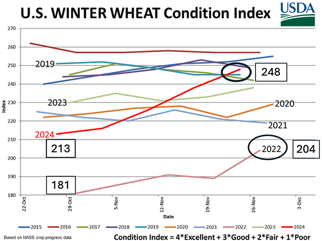 USDA's winter wheat condition index rose from 213 to 248 between late October and late November. That increase is a record for this century, even larger than a 23-point increase in 2022. (USDA graphic)