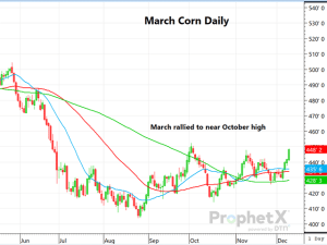 Corn Surges on Surprising Demand Boost in December WASDE Report