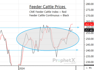 Feeder Cattle Market’s Incredible Trading Range of 2024