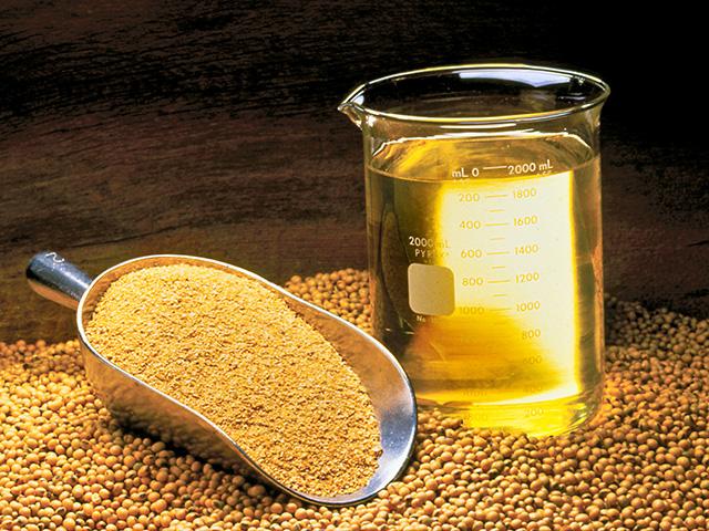 Robert F. Kennedy Jr is against food additives and dyes, seed oils and GMOs. Taking soybean, canola and sunflower oils off the shelves would hurt producers and force consumers to buy more expensive substitutes. Banning GMOs would cut many farmers' yields while doing little for the environment and nothing for public health. (United Soybean Board photo)