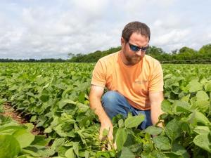 World Record Holder Alex Harrell Shares Secrets to High-Yielding Soybeans