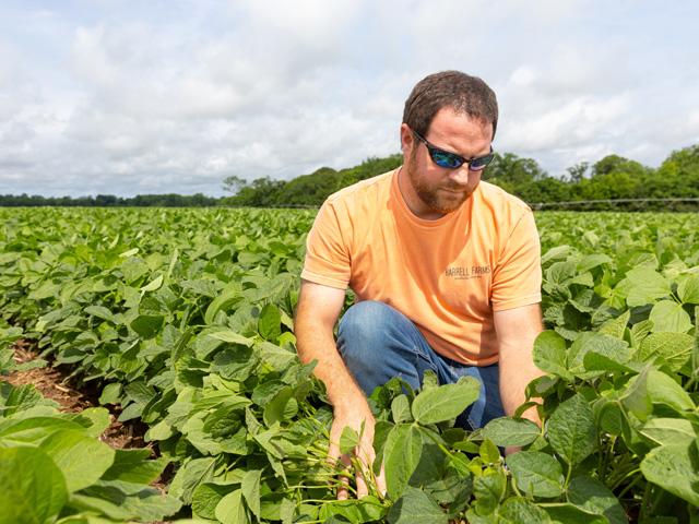 As the current world record holder, Georgia farmer Alex Harrell knows what it takes to unleash the yield potential of soybeans. (Photo by David Parks)