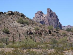 Arizona Alleges Dairy Overpumped Groundwater, Seeks Injunction in Lawsuit