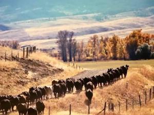 Variable Weather Seen in Northern Plains; Drought Persists Locally