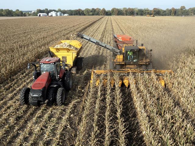 Wyffels Hybrids, based in Geneseo, Illinois, harvests its seed corn at 33% to 35% kernel moisture. To ensure the process is as gentle as possible, food-grade sweet corn pickers are used. (DTN photo by Jason Jenkins)
