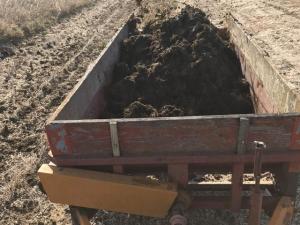 Spring Memories of Vintage Manure Spreaders on the Farm