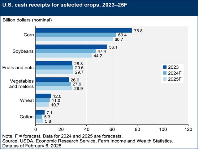 USDA figures (forecasts for 2024 and 2025) show how some sectors of the ag economy can feel like they're in recession while others don't. The same sector-by-sector breakdown is true for the national economy. (USDA Economic Research Service/DTN graphic)