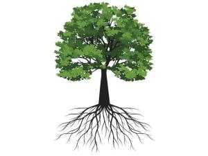 Nurture a Healthy and Growing Family Business