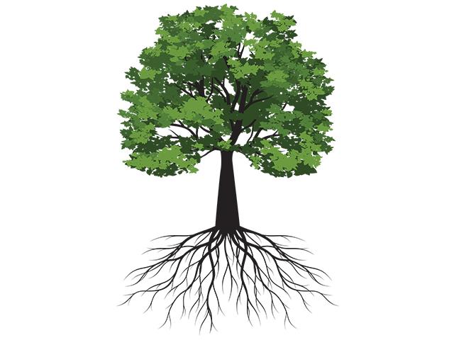 (rolandtopor, Getty Images)