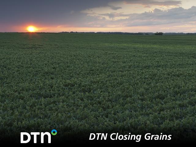 (DTN illustration by Nick Scalise)