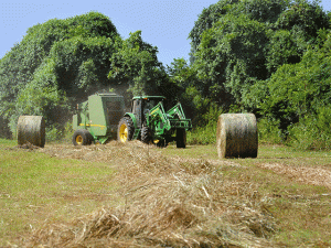 University of Missouri Extension Offers Tips for Smooth Hay Baling Season