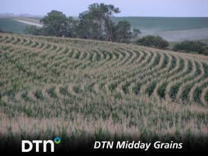 DTN Midday Grain Comments