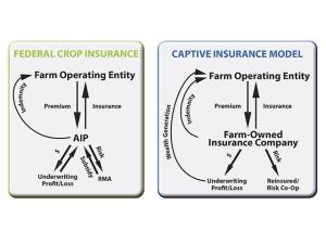 A Smarter Way to Self-Insure