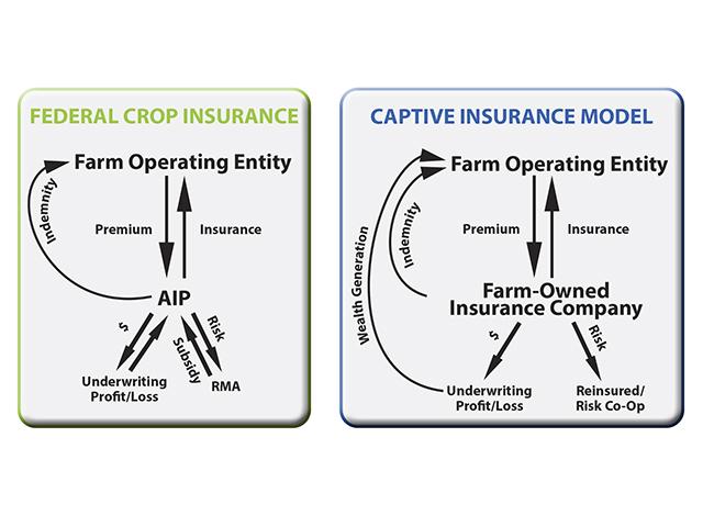 When farmers own their own crop insurance company, they keep the underwriting gains. (Illustration by Katie Dehlinger and Barry Falkner, DTN)