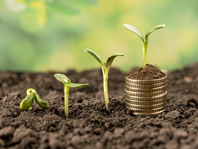 (Photo by Aleksander Tumko, Getty Images)