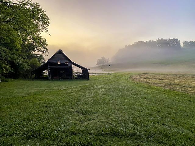 Overcoming hesitation about transitioning of farms and ranches isn't easy. Don't try to implement an entire plan, just put one foot in front of the other. (Progressive Farmer photo by Brent Warren)