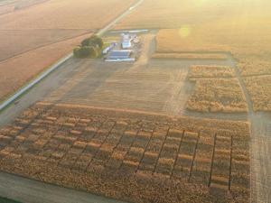 Trials Offer Unbiased Comparisons of Seed