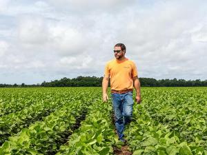 Space Those Soybeans