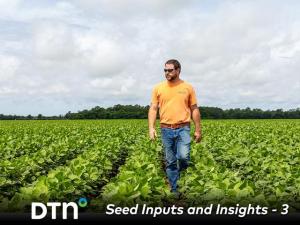 Soybean Singulation: Do Uniform Plants Produce Higher Yields?