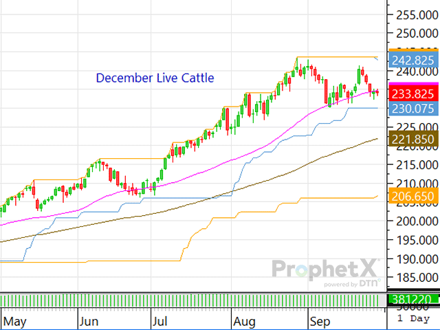 Traders would like to continue to support the cattle complex, but with the softness recently seen in both boxed beef prices and fed cash cattle prices, the market could trade lower again this week. (DTN ProphetX chart)
