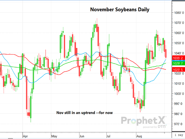 This is a daily chart of November soybean futures showing key moving averages just below. (DTN ProphetX chart)