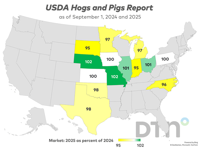 This map shows market hog inventory by state as of Sept, 1, 2025, as a percentage of 2024 totals. (USDA NASS data; map by Kathy Myers)