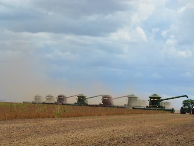 With China's encouragement, Brazil keeps expanding its soybean production. And it still has tens of millions more acres than could be planted in soybeans. (DTN file photo)