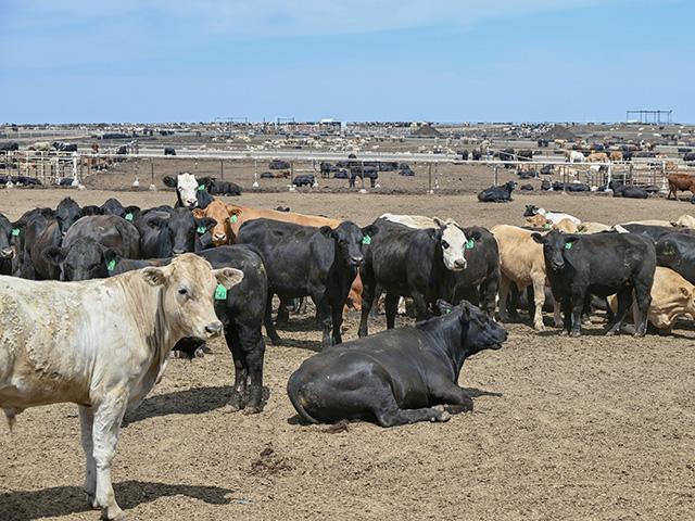 Monday is the final day to file claims on the JBS antitrust settlement. (DTN file photo by Jennifer Carrico)