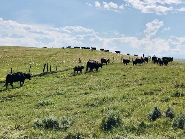 Traders seem to collectively agree that, from a fundamental perspective, there's only one direction the market can go -- and that's higher. (DTN photo by ShayLe Stewart)