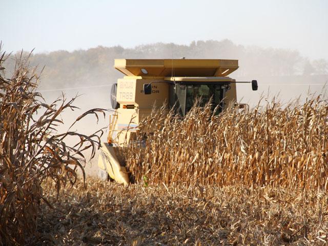 We won't know much about the impact of dryness on the crop in the Corn Belt until combines start rolling in a very big way. (DTN file photo by Elaine Shein)