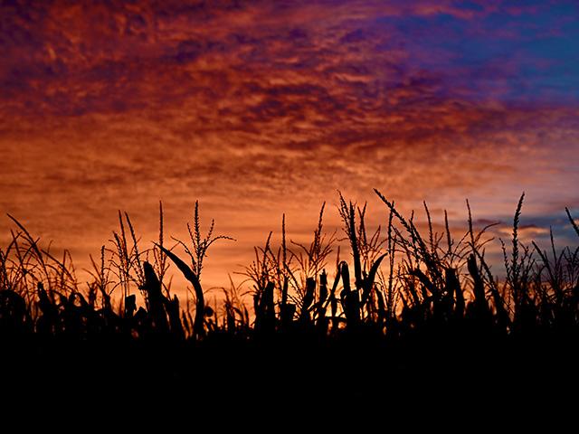 A beautiful sunset at harvest is a reminder to watch what is going on around you to stay safe from harm. (DTN/Progressive Farmer photo by Jennifer Carrico)